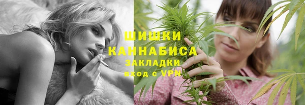 прущие грибы Приозерск