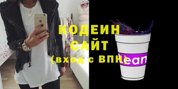 дурь Бородино