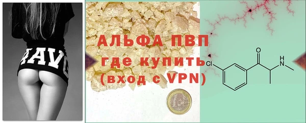 дурь Бородино