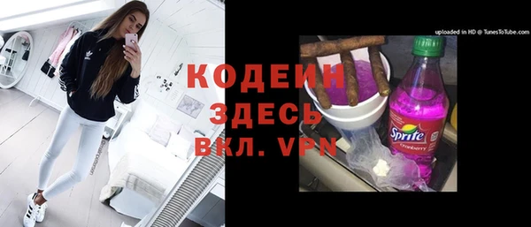 дурь Бородино