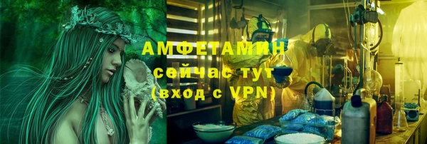 дурь Бородино