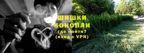 дурь Бородино