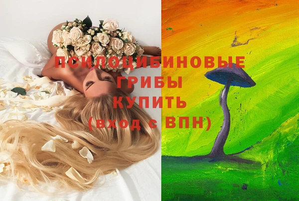 дурь Бородино